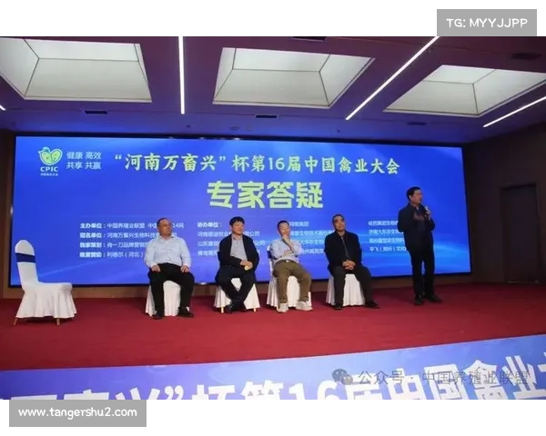 赛事合作机构引领共赢新纪元 赛事合作机构引领共赢新纪元